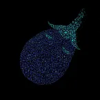 Pochette Mr. Melanzana