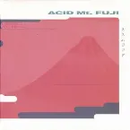 Pochette Acid Mt. Fuji