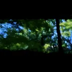 Pochette Die Ferne Stimme, Ferner Raum