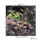 Pochette Penumbra Recollected 2