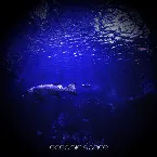 Pochette Oceanic Space