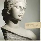 Pochette Le Roi des forêts