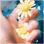 Pochette Flowers
