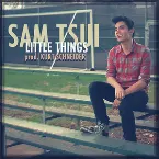 Pochette Little Things