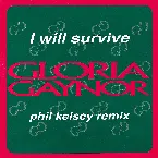 Pochette I Will Survive (Phil Kelsey remix)