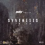 Pochette Synthesis 003