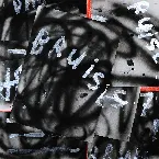 Pochette Bruises