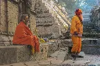 Pochette Choose a Guru With a Life Outside the Scope of Spirituality, Not Someone Who Has No Awareness of Your Own Inevitable Mortality