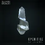 Pochette Open Fire