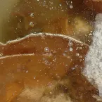 Pochette Horror of Birth