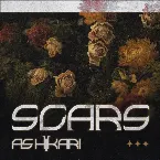 Pochette Scars