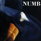 Pochette Numb