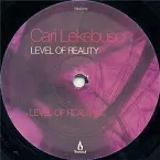 Pochette Level of Reality