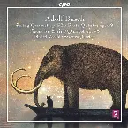 Pochette String Quartet op. 57 / Flute Quintet op. 68 / Pieces for String Quartet op. 45