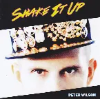 Pochette Shake It Up