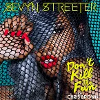 Pochette Don't Kill The Fun