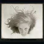 Pochette The Impossible Girl