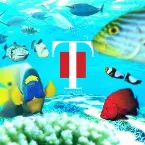 Pochette 宝曲 〜T‐SQUARE plays THE SQUARE〜