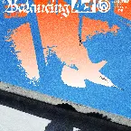 Pochette Balancing Act