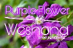 Pochette Purple Flower