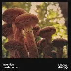 Pochette Mushrooms