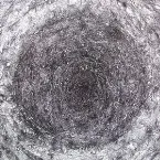 Pochette The Back Room