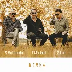 Pochette MLB Trio - Birka