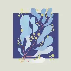 Pochette In Parallel