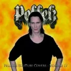 Pochette Covers Vol. 17