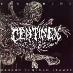 Pochette Bloodhunt / Reborn Through Flames