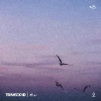 Pochette Transcend