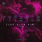 Pochette Phoenix (Carpenter Brut remix)