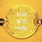 Pochette Lemon Twins