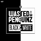 Pochette Black & White