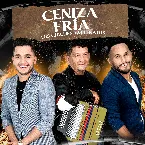 Pochette Ceniza fría