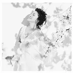 Pochette 春夏秋冬