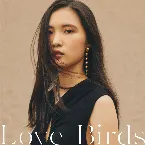 Pochette Love Birds