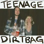 Pochette Teenage Dirtbag