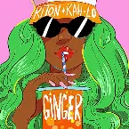 Pochette Ginger