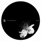 Pochette Caos Y Orden Superior, Wars