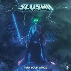 Pochette Find Your Wings
