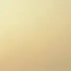 Pochette Debalconied