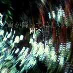 Pochette 樹液 (Jueki)