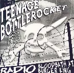 Pochette Teenage Bottlerocket / The Prototipes