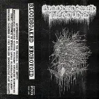 Pochette Demo 1