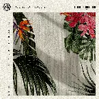 Pochette The White Lotus Theme (Aloha)