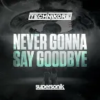 Pochette Never Gonna Say Goodbye