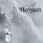 Pochette Spor i snø