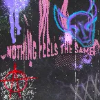 Pochette Nothing Feels The Same