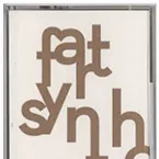 Pochette Fart Synthesis